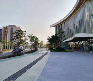 香港科技大学